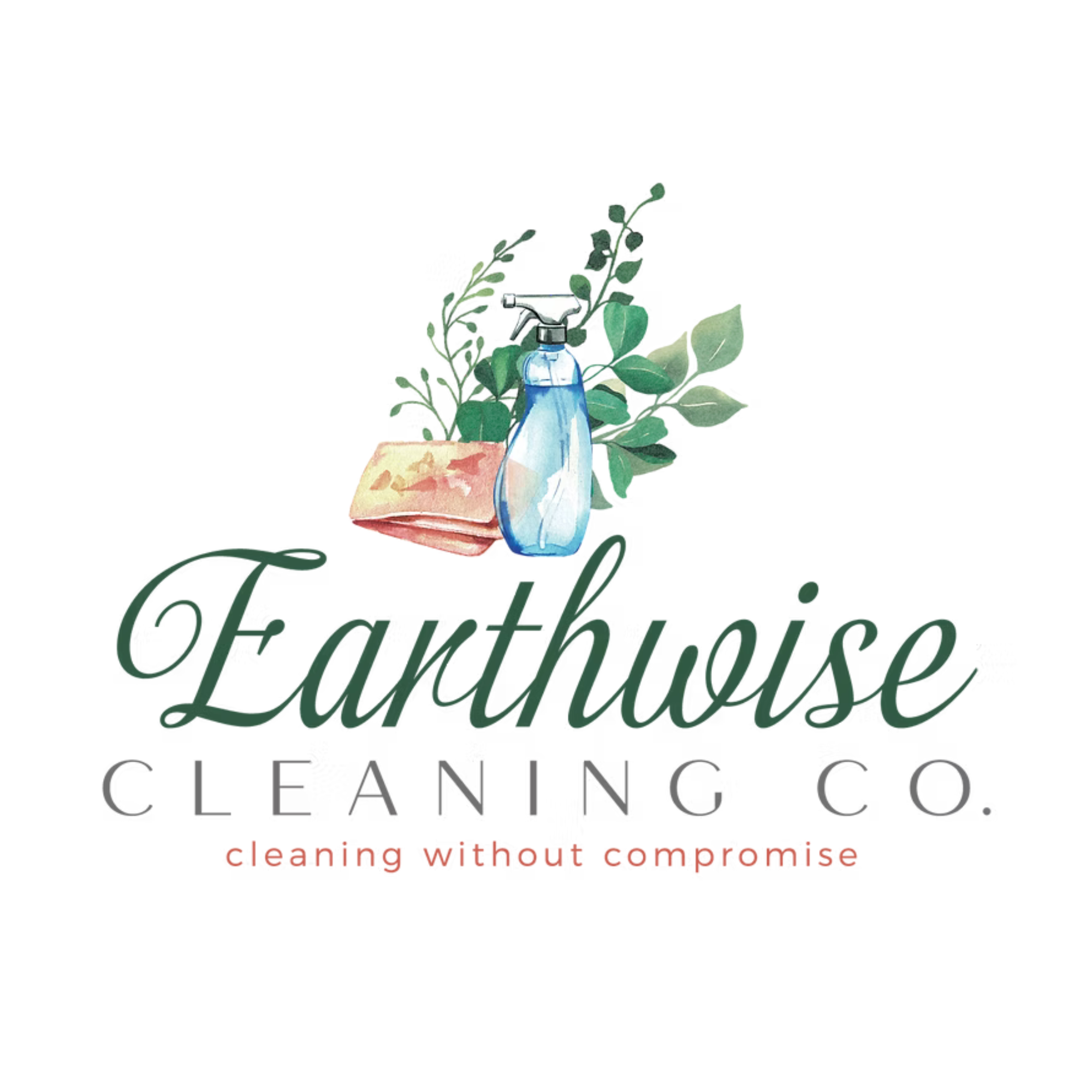 Earthwise Cleaning Company LLC